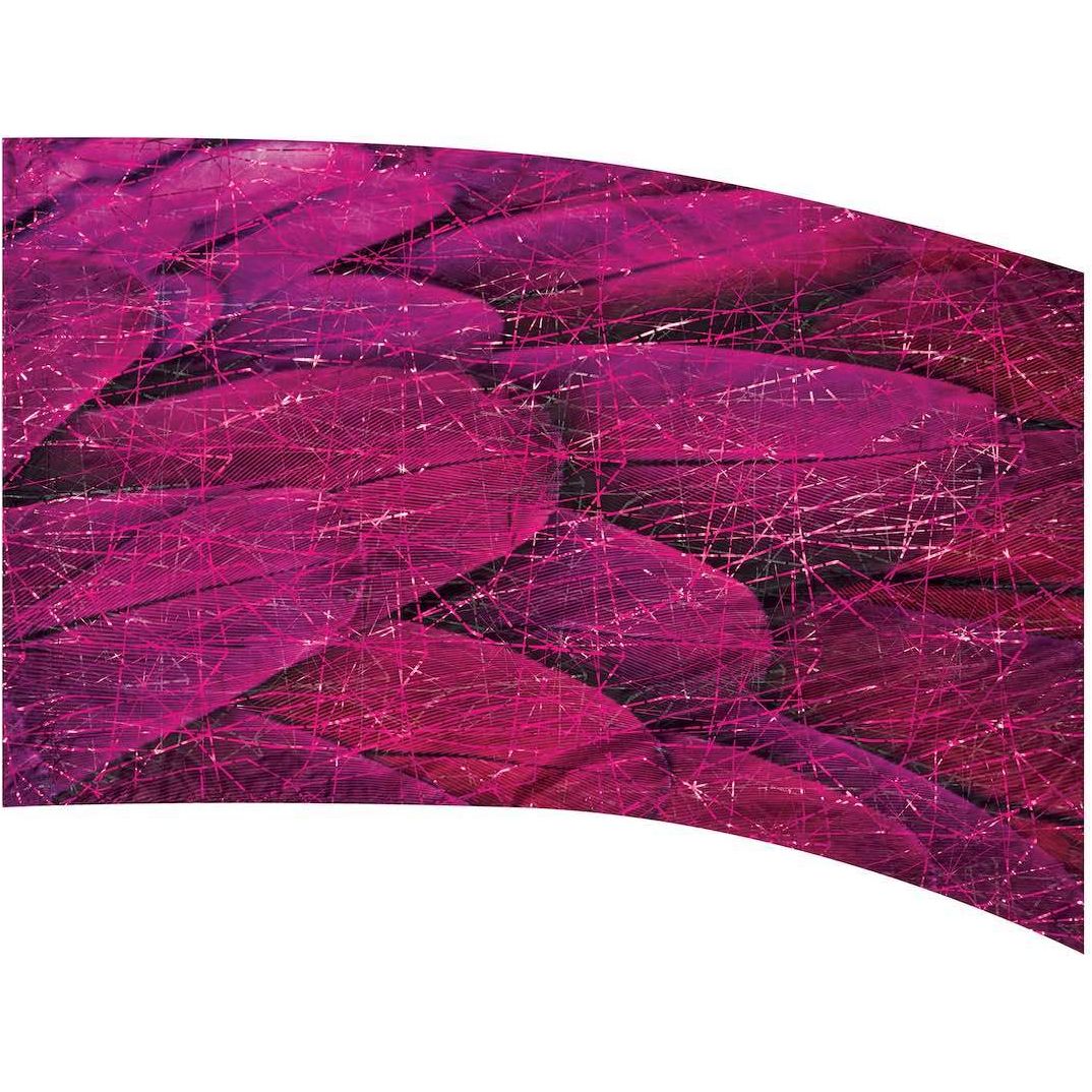Genesis 9007